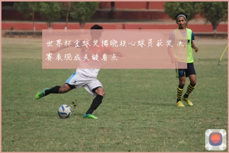 世界杯金球奖揭晓核心球员获奖 决赛表现成关键看点