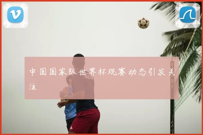 中国国家队世界杯观赛动态引发关注