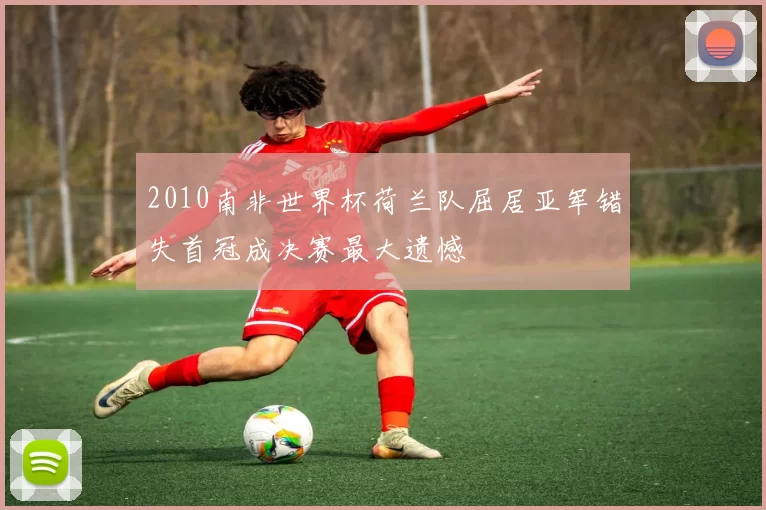 2010南非世界杯荷兰队屈居亚军错失首冠成决赛最大遗憾