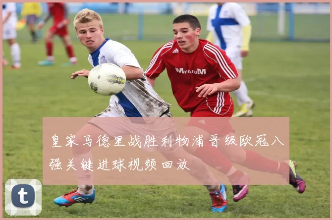 皇家马德里战胜利物浦晋级欧冠八强关键进球视频回放
