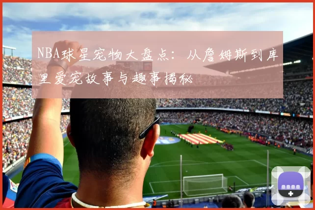 NBA球星宠物大盘点:从詹姆斯到库里爱宠故事与趣事揭秘