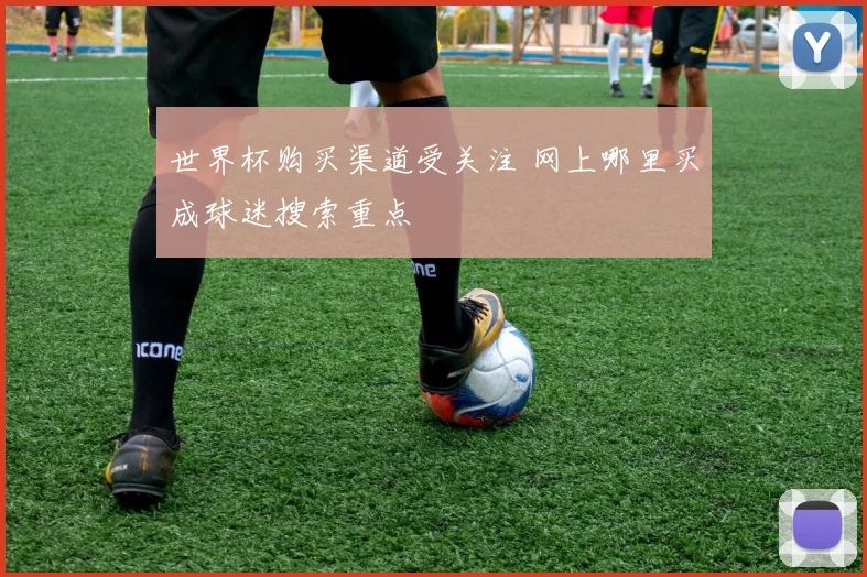 世界杯购买渠道受关注 网上哪里买成球迷搜索重点