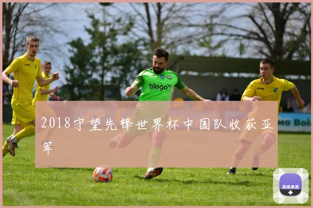 2018守望先锋世界杯中国队收获亚军