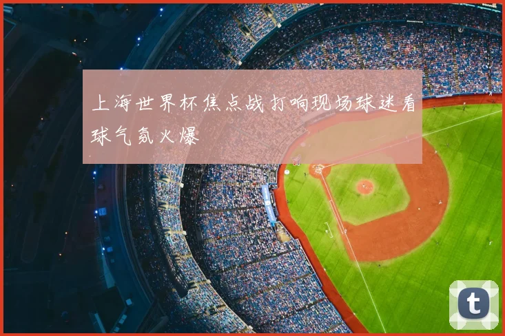 上海世界杯焦点战打响现场球迷看球气氛火爆