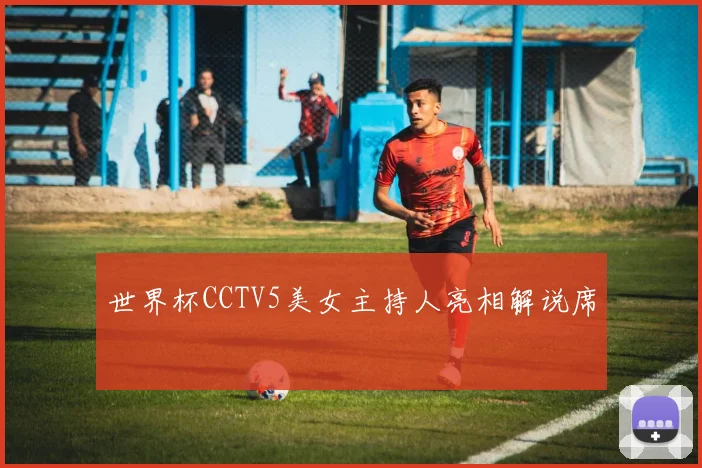 世界杯CCTV5美女主持人亮相解说席