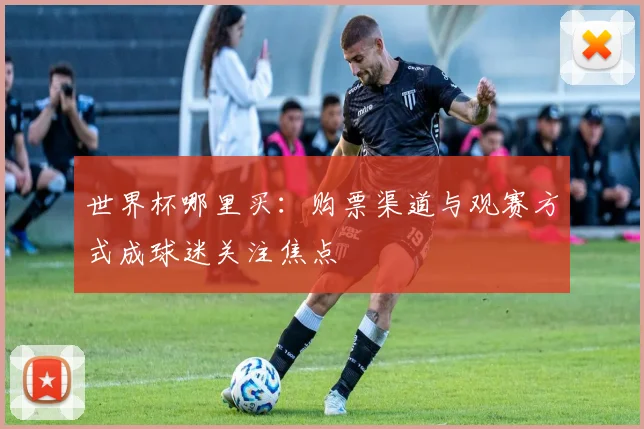 世界杯哪里买:购票渠道与观赛方式成球迷关注焦点