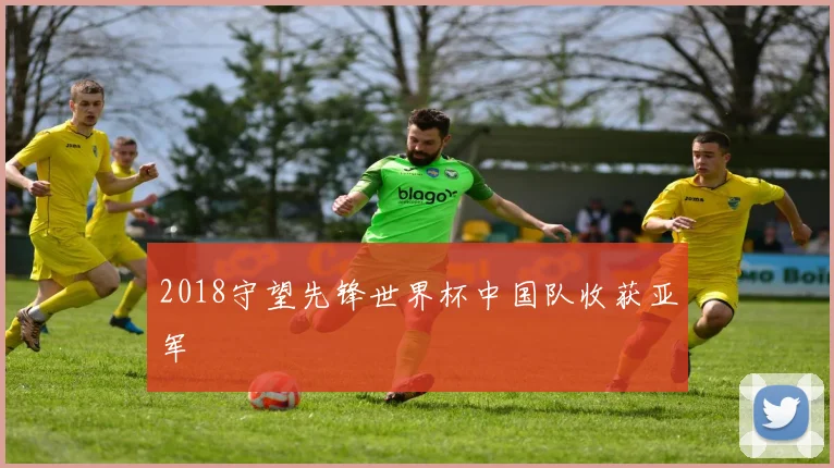 2018守望先锋世界杯中国队收获亚军