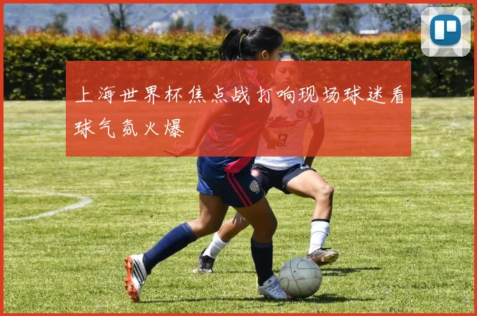 上海世界杯焦点战打响现场球迷看球气氛火爆