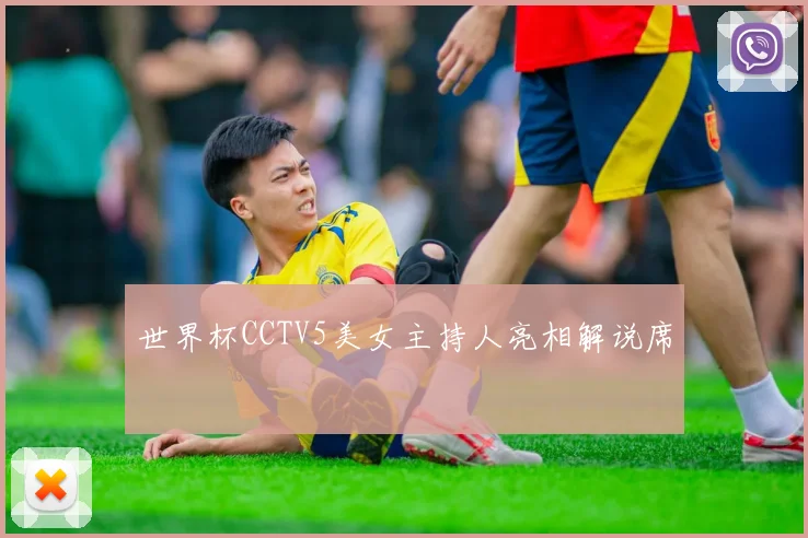 世界杯CCTV5美女主持人亮相解说席
